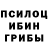 Псилоцибиновые грибы GOLDEN TEACHER Moises Jimenezz
