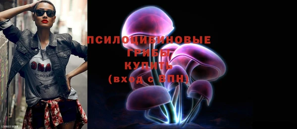 прущие грибы Алзамай