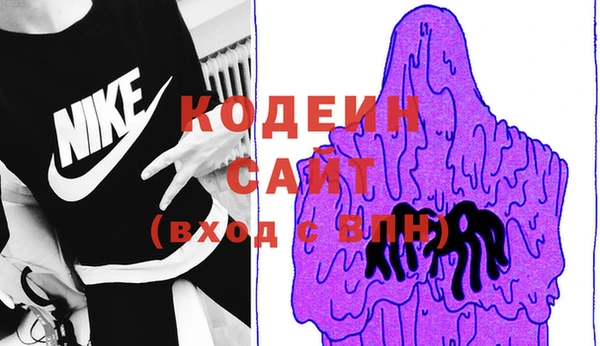 прущие грибы Алзамай
