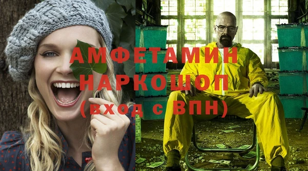 прущие грибы Хадыженск